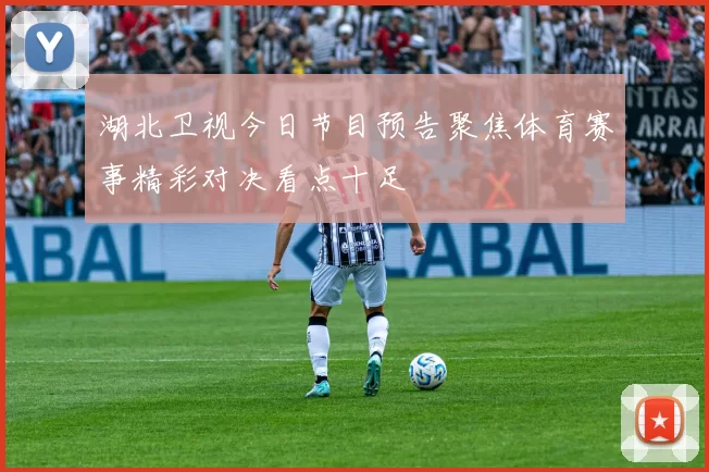 湖北卫视今日节目预告聚焦体育赛事精彩对决看点十足