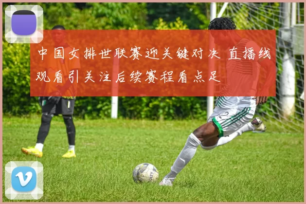 中国女排世联赛迎关键对决 直播线观看引关注后续赛程看点足