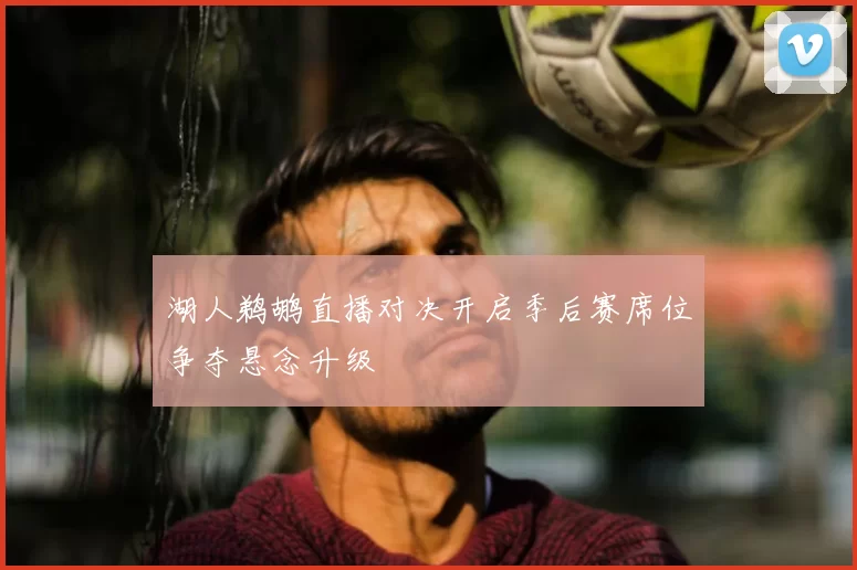 湖人鹈鹕直播对决开启季后赛席位争夺悬念升级