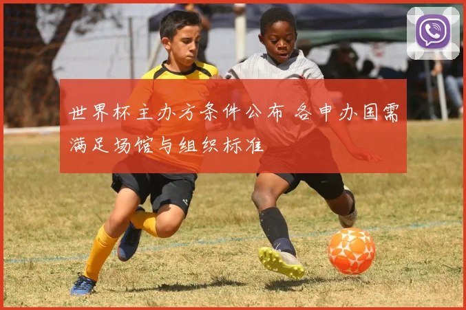 世界杯主办方条件公布 各申办国需满足场馆与组织标准